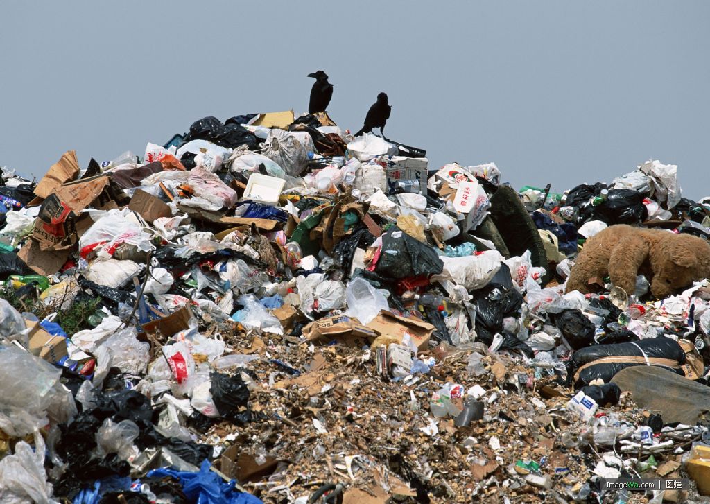 环保部：2015年246个大中城市产生生活垃圾18564万吨
